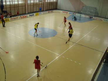 Uczennice szkoły w Białej najlepsze w unihokeju