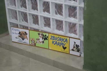 Akcja „Książka za karmę” w Miejskiej Bibliotece w Wieluniu
