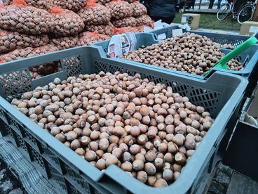 Wieruszów: za nami wydarzenie „Z tradycją i ze smakiem”
