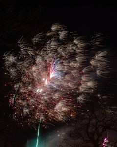 Tak witano Nowy Rok w Wieluniu! Zobaczcie przepiękne zdjęcia Tomka Matusiaka