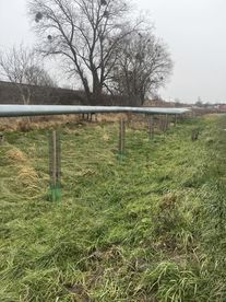 Nowe nasadzenia drzew pojawiły się w rejonie ulicy Ciepłowniczej w Wieluniu. Poprzednie nie przyjęły się
