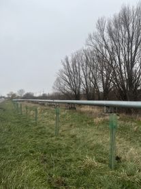 Nowe nasadzenia drzew pojawiły się w rejonie ulicy Ciepłowniczej w Wieluniu. Poprzednie nie przyjęły się