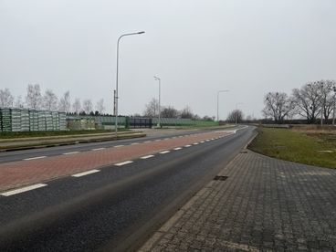 Nowe nasadzenia drzew pojawiły się w rejonie ulicy Ciepłowniczej w Wieluniu. Poprzednie nie przyjęły się