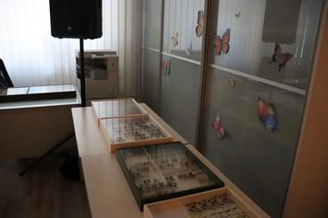 Biblioteka Miejska zaprosiła dziś na obchody Dnia Motyla. Niebawem ruszą warsztaty tematyczne