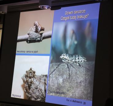 Biblioteka Miejska zaprosiła dziś na obchody Dnia Motyla. Niebawem ruszą warsztaty tematyczne