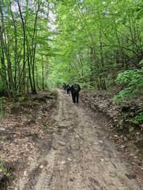 Wieluńscy Piechurzy w szczytnym celu – 100 km dla chorej dziewczynki. Jak im poszło