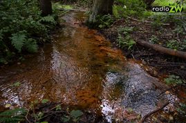 Geologiczne skarby Załęczańskiego Parku Krajobrazowego