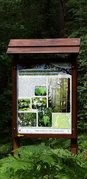Parki i ogrody ziemi wieluńskiej - Park Krajobrazowy Międzyrzecza Warty i Widawki - Rezerwat leśny „Hołda”