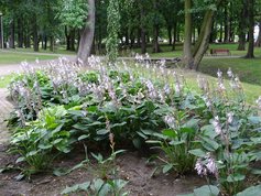 Parki i ogrody ziemi wieluńskiej