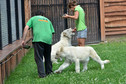 Odkrywamy łódzkie - Zoo Safari Borysew