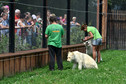 Odkrywamy łódzkie - Zoo Safari Borysew