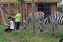 Odkrywamy łódzkie - Zoo Safari Borysew