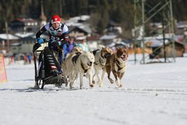 LEADER w LGD „Kraina Wielkiego Łuku Warty” - Kluki - 