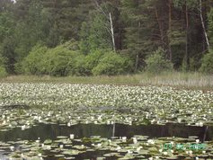 LEADER w LGD „Kraina Wielkiego Łuku Warty” - Siemkowice - 