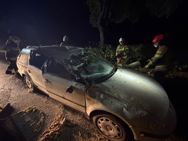Silna burza nad powiatem wieluńskim. Drzewo spadło na samochód, zerwało dach z domu